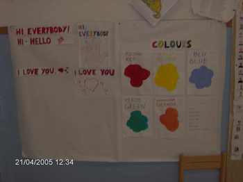 immagine2